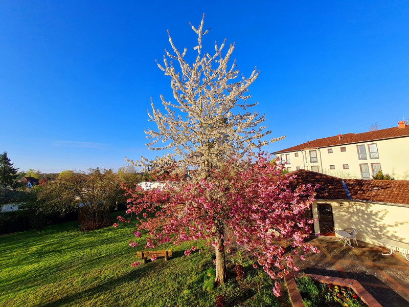 20230427 072233 Resizeda