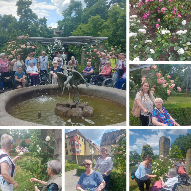 20230615 121710 COLLAGE