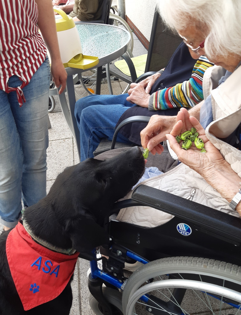 Osa Zu Besuch1 Zuschnitt Home