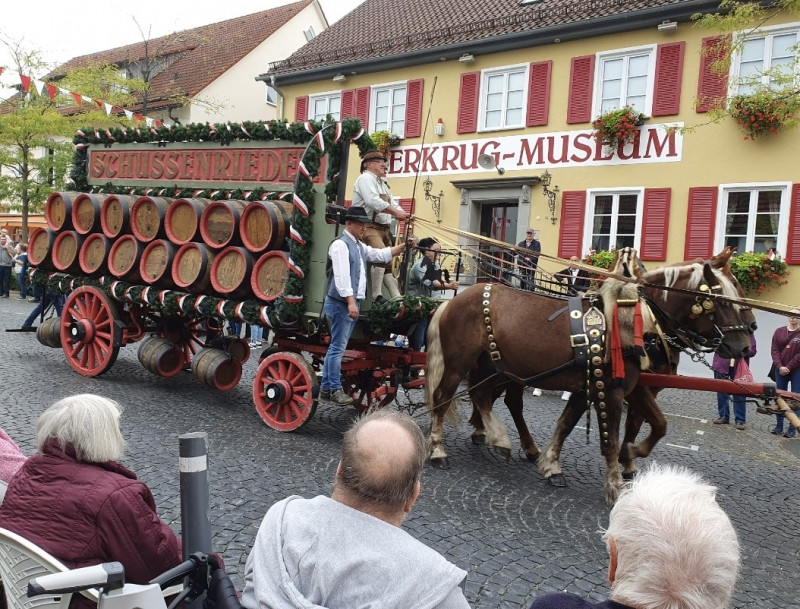 Bier